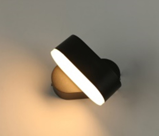 Светильник WL9 BK  ЭРА Декоративная подсветка светодиодная 6Вт IP 54 черный