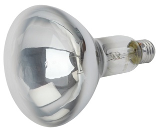 ЭРА Инфракрасная лампа ИКЗ 220-250 R127 E27 для обогрева животных