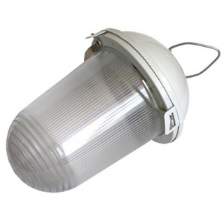 Светильник ЭРА НСП 41-200-001 без решетки Желудь сталь / стекло IP54 E27 max 200Вт 185х260 белый