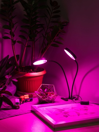Светильник для растений на прищепке ЭРА FITO-20W-АLED-R красно-синего спектра 20 Вт черный