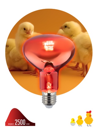 Инфракрасная лампа ЭРА ИКЗК 230-100 R95 E27 (1 шт) для обогрева животных и освещения 100 Вт