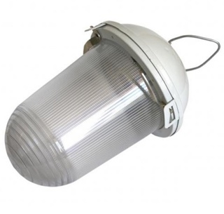 Светильник ЭРА НСП 02-100-001 без решетки Желудь сталь / стекло IP54 E27 max 100Вт 170х260 белый