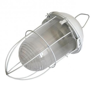 Светильник ЭРА НСП 02-100-003 с решеткой Желудь сталь / стекло IP54 E27 max 100Вт 170х300 белый