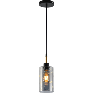 Светильник подвесной (подвес) Rivoli Eileen 9154-201 1хЕ27 60 Вт модерн