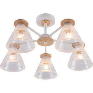 Люстра Rivoli Theothila 9177-305 5 х Е27 60 Вт модерн