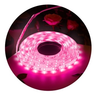 Светодиодная лента для растений ЭРА FITO-Strip Light-RB-27W-3m-12V-IP65 красно-синего спектра 3м IP65 с адаптером 12V