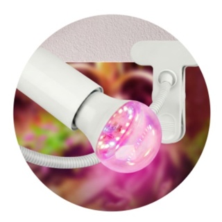 Светильник для террариумов и брудеров ЭРА FITO-E27-FLEX-100W-GR c клипсой для ламп до 100 Вт и гибкой стойкой