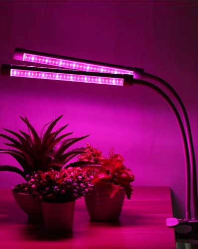 Обзор лучших светодиодных светильников для растений